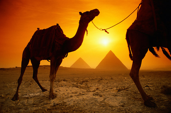 Egiptas, piramidės, poilsis, Hurgada, Šarm el Šeichas, atostogos, viešbučiai, Nilas, Kairas